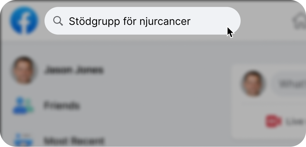 Swed-Search-1